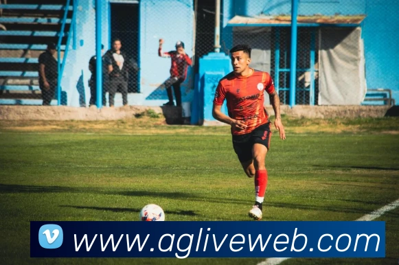 AG真人游戏平台平台生态图