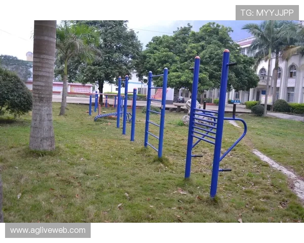 健身器材厂家代理政策及其对体育器械市场的推动作用 健身器材厂家代理政策及其对体育器械市场的推动作用