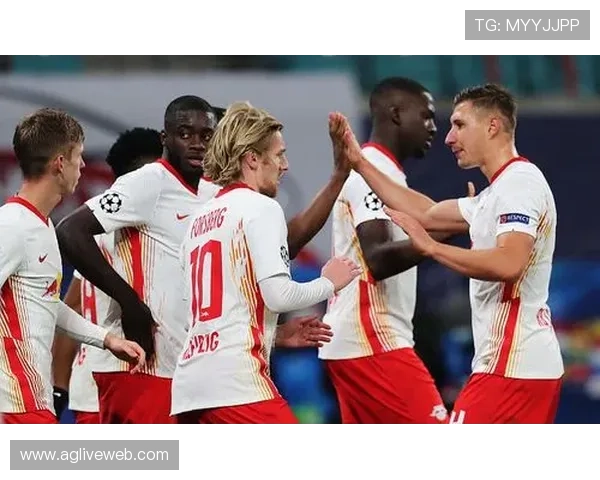 德甲联赛球队罢赛机制和规则解析