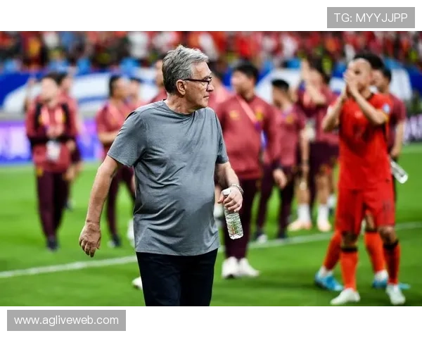 意甲球队主场容量与球迷氛围分析